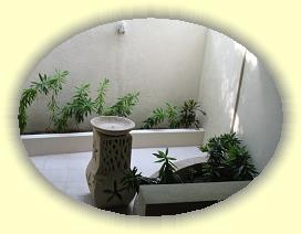 20111110_015 * 3072 x 2304 * (2.38MB)