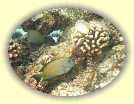 20111111_096 * 2588 x 1941 * (3.41MB)