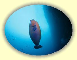 20111111_099 * 2757 x 2068 * (2.51MB)