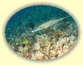 20111111_113 * 2247 x 1685 * (3.2MB)