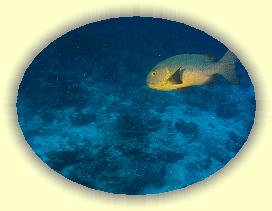 20111112_036 * 2475 x 1856 * (3.38MB)