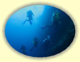 20111112_038 * 2913 x 2185 * (3.55MB)