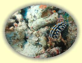 20111112_076 * 2311 x 1733 * (2.53MB)