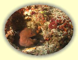 20111112_147 * 2342 x 1756 * (2.97MB)