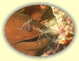 20111112_150a * 825 x 621 * (404KB)