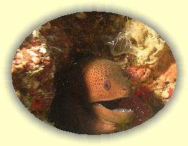 20111112_151 * 1507 x 1134 * (1.28MB)