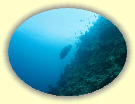 20111112_174 * 2511 x 1883 * (2.39MB)