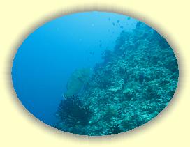 20111112_177 * 2063 x 1547 * (2.05MB)