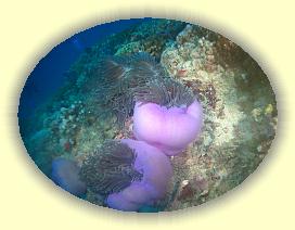 20111113_009 * 3072 x 2304 * (2.94MB)