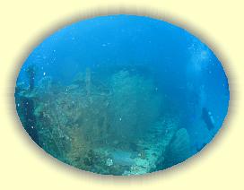 20111113_022 * 2977 x 2233 * (4.72MB)