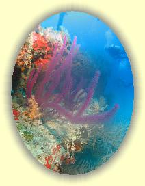 20111113_030 * 3072 x 2304 * (4.01MB)