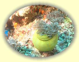 20111113_035 * 3072 x 2304 * (3.78MB)