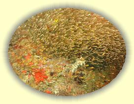 20111113_045 * 2964 x 2223 * (5.02MB)