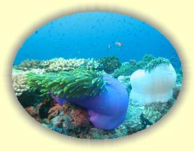 20111113_062 * 3072 x 2304 * (2.88MB)