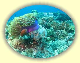 20111113_063 * 3072 x 2304 * (3.68MB)