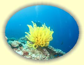 20111113_087 * 2623 x 1967 * (3.02MB)