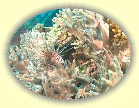 20111113_107 * 2429 x 1822 * (3.06MB)