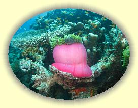 20111113_110 * 3072 x 2304 * (3.09MB)