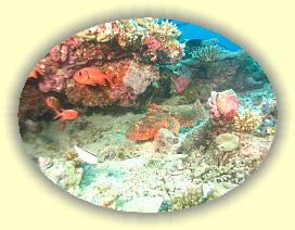 20111113_133 * 3072 x 2304 * (3.6MB)