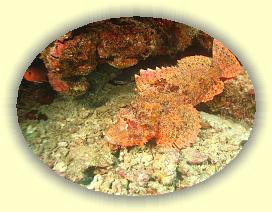 20111113_142 * 2708 x 2031 * (4.01MB)