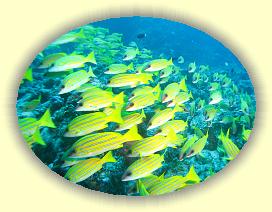 20111114_031 * 3072 x 2304 * (3.59MB)