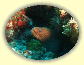 20111114_048 * 3072 x 2304 * (3.88MB)