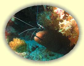 20111114_051 * 3072 x 2304 * (3.96MB)