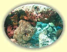 20111114_097 * 2245 x 1684 * (2.81MB)