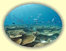 20111114_104 * 2599 x 1949 * (3.43MB)