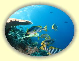 20111114_108 * 2895 x 2171 * (3.57MB)