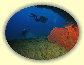 20111114_144 * 3072 x 2304 * (4.5MB)