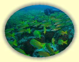 20111115_063 * 3072 x 2304 * (2.77MB)