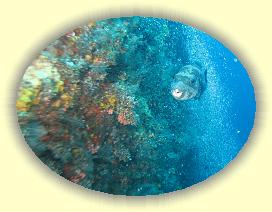 20111115_074 * 2168 x 1626 * (2.65MB)