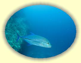 20111115_080 * 3072 x 2304 * (2.14MB)