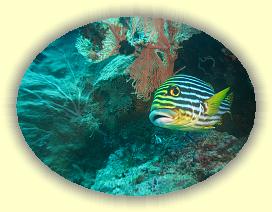 20111115_084 * 2857 x 2143 * (4.03MB)