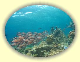 20111115_143 * 2843 x 2132 * (3.4MB)