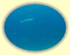 20111115_168 * 2255 x 1691 * (1.68MB)