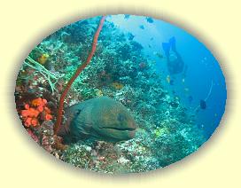 20111115_200 * 2496 x 1872 * (3.49MB)