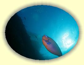 20111116_004 * 3072 x 2304 * (2.06MB)