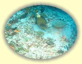 20111116_016 * 2345 x 1759 * (3.34MB)