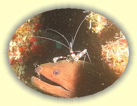 20111116_026 * 1533 x 1154 * (1.41MB)