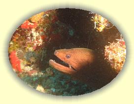 20111116_027 * 2091 x 1568 * (2.5MB)