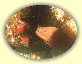 20111116_030 * 2160 x 1620 * (2.61MB)