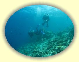 20111116_059 * 2304 x 1728 * (2.12MB)