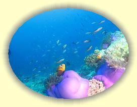 20111116_079 * 3072 x 2304 * (3.02MB)