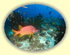 20111116_107 * 2620 x 1965 * (3.15MB)