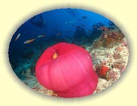 20111116_118 * 2907 x 2180 * (3.73MB)