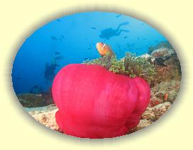 20111116_133 * 3072 x 2304 * (2.4MB)