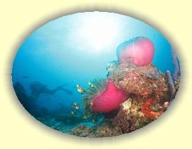 20111116_141 * 3072 x 2304 * (2.38MB)