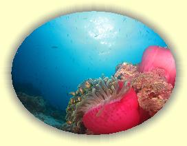 20111116_143 * 2837 x 2128 * (3.18MB)